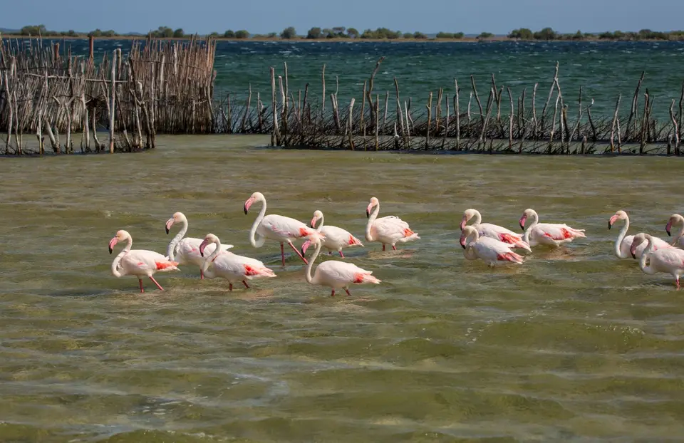 Südafrika_KosiBay_128.jpg