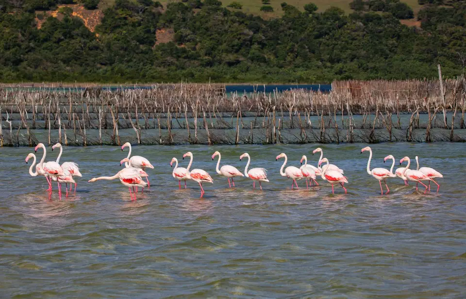 Südafrika_KosiBay_140.jpg