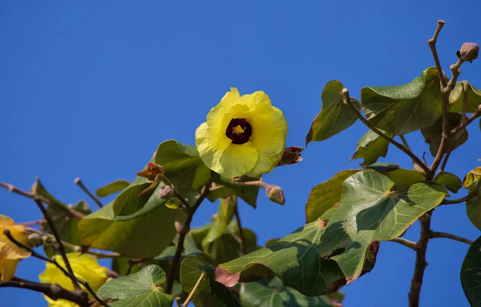 Südafrika_KosiBay_173.jpg
