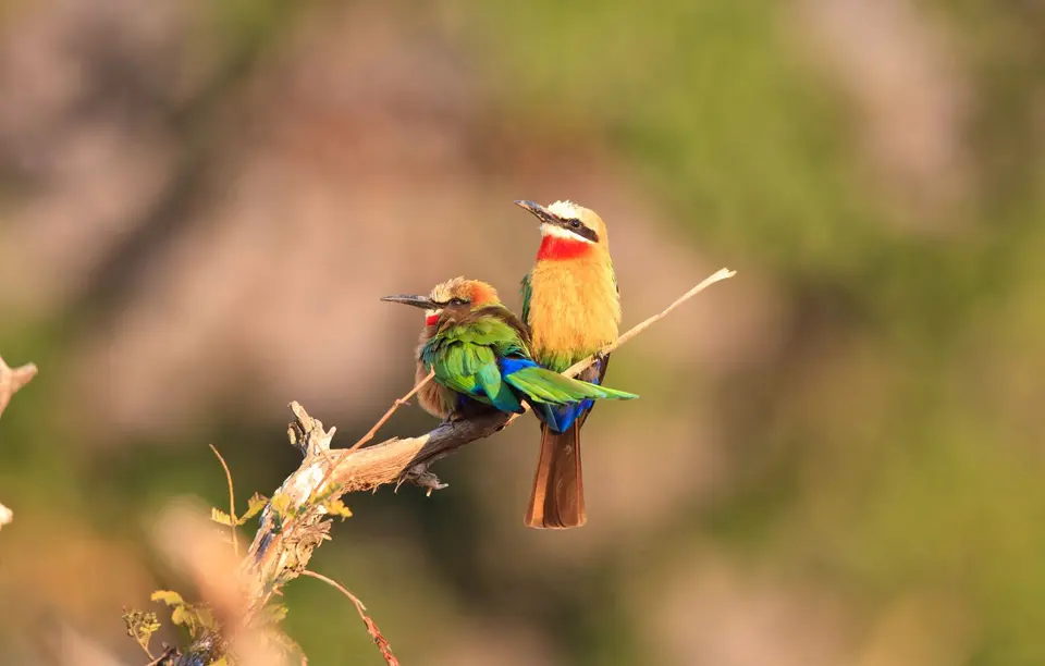 Südafrika_KrugerNP_0865.jpg