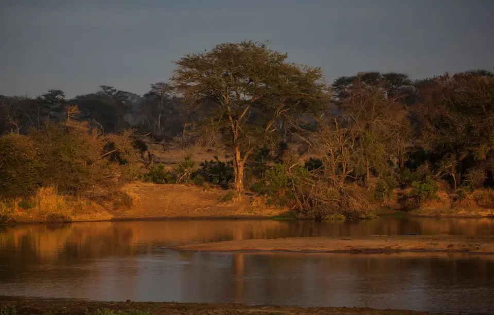 Südafrika_KrugerNP_1453.jpg