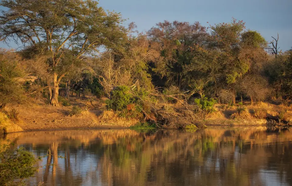 Südafrika_KrugerNP_1454.jpg