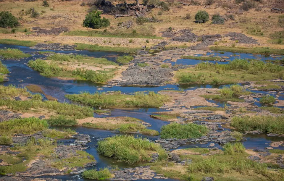 Südafrika_KrugerNP_1495.jpg