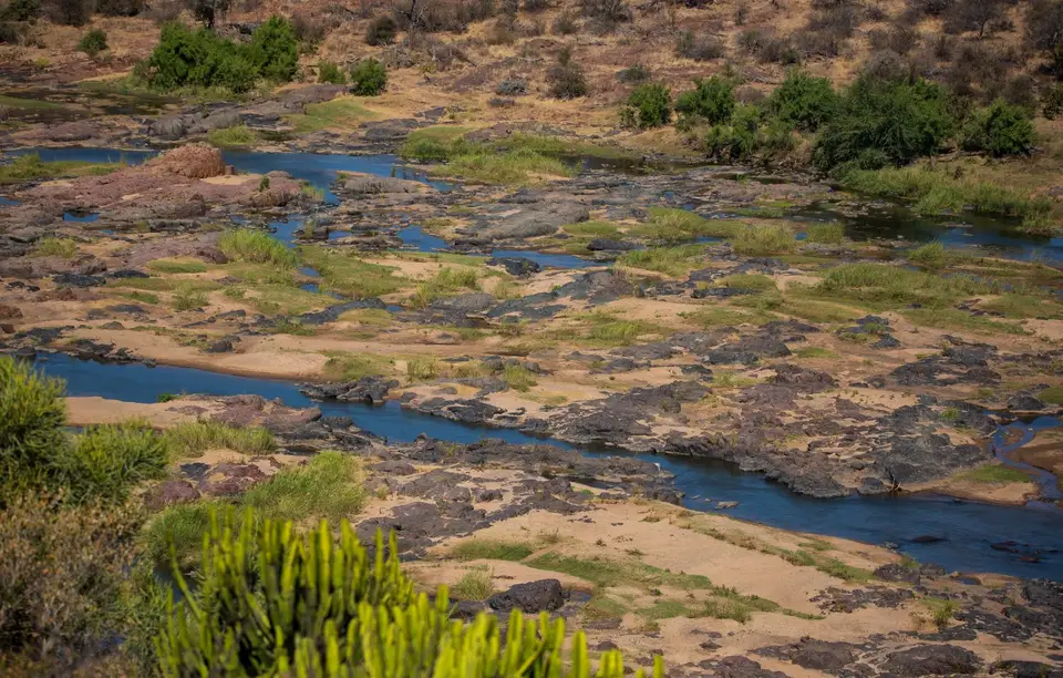 Südafrika_KrugerNP_1496.jpg