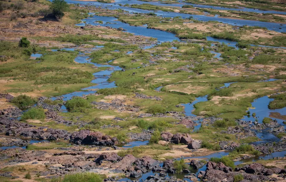Südafrika_KrugerNP_1497.jpg