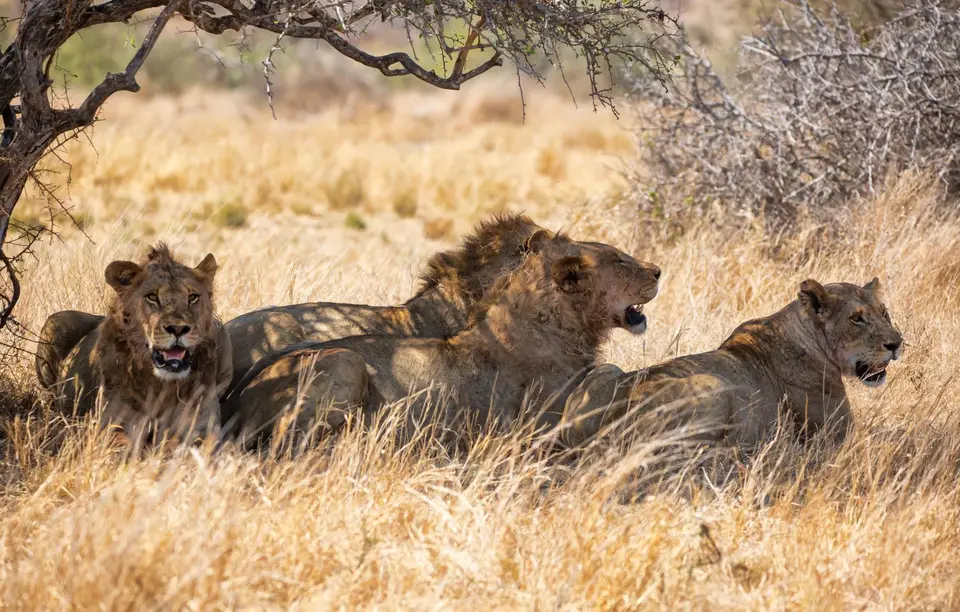 Südafrika_KrugerNP_1554.jpg