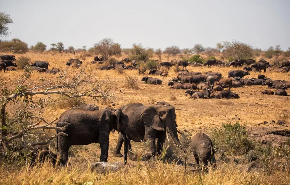 Südafrika_KrugerNP_1557.jpg