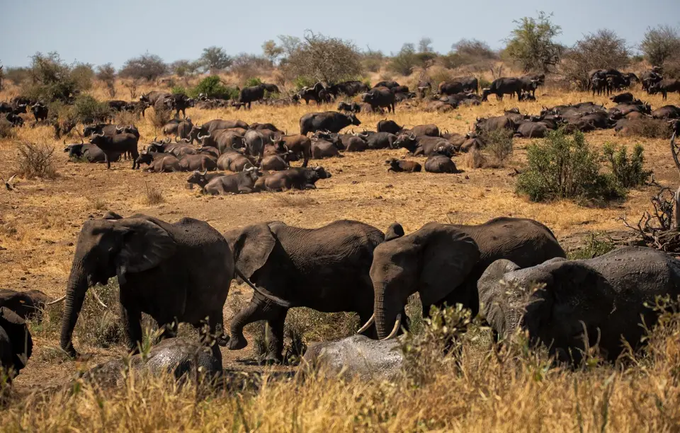 Südafrika_KrugerNP_1558.jpg