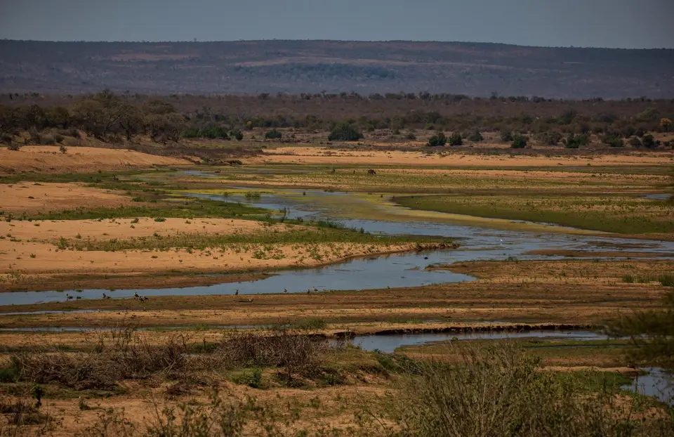 Südafrika_KrugerNP_1562.jpg