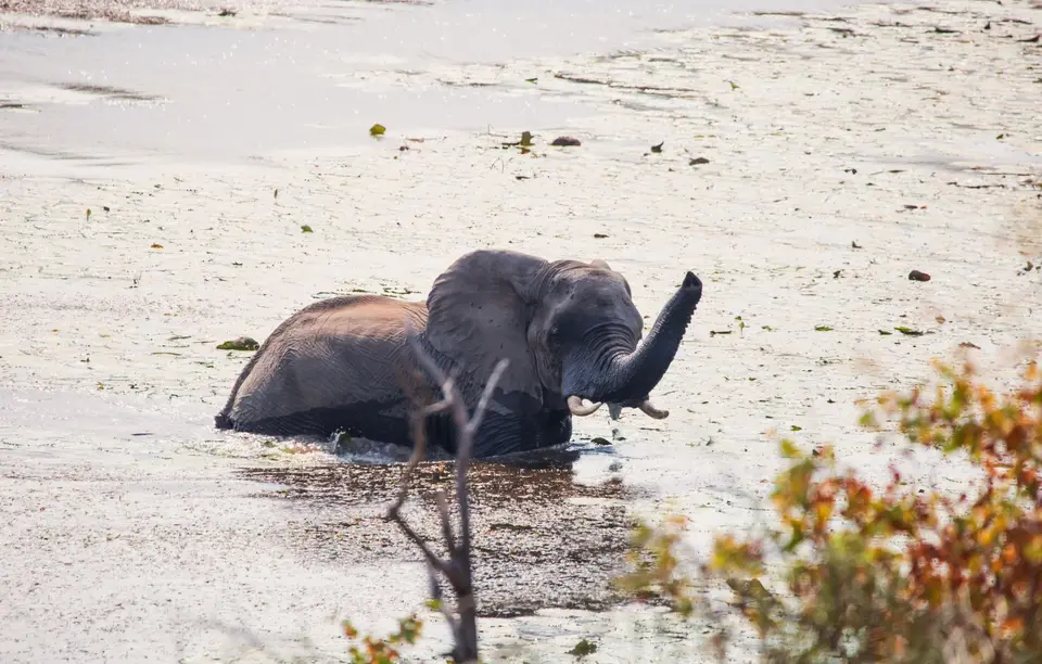 Südafrika_KrugerNP_1632.jpg
