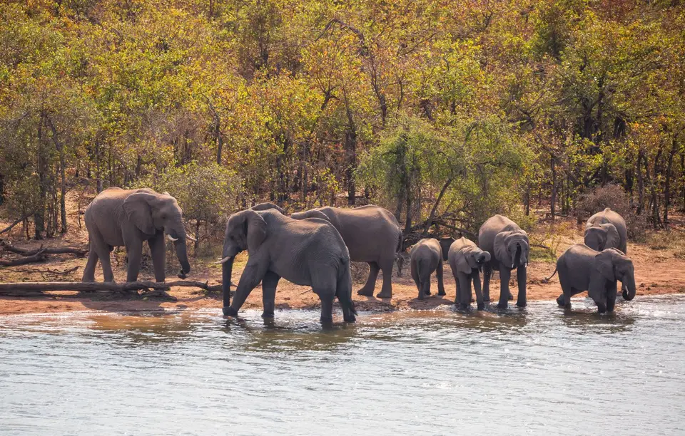 Südafrika_KrugerNP_1633.jpg