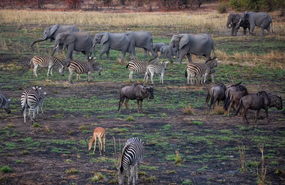 Südafrika_KrugerNP_1641.jpg