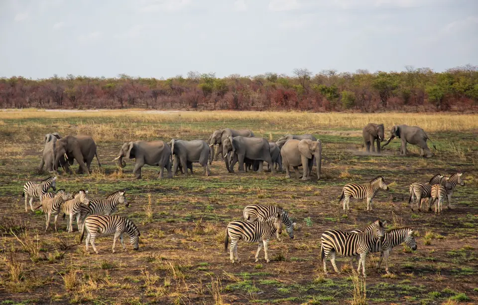 Südafrika_KrugerNP_1642.jpg
