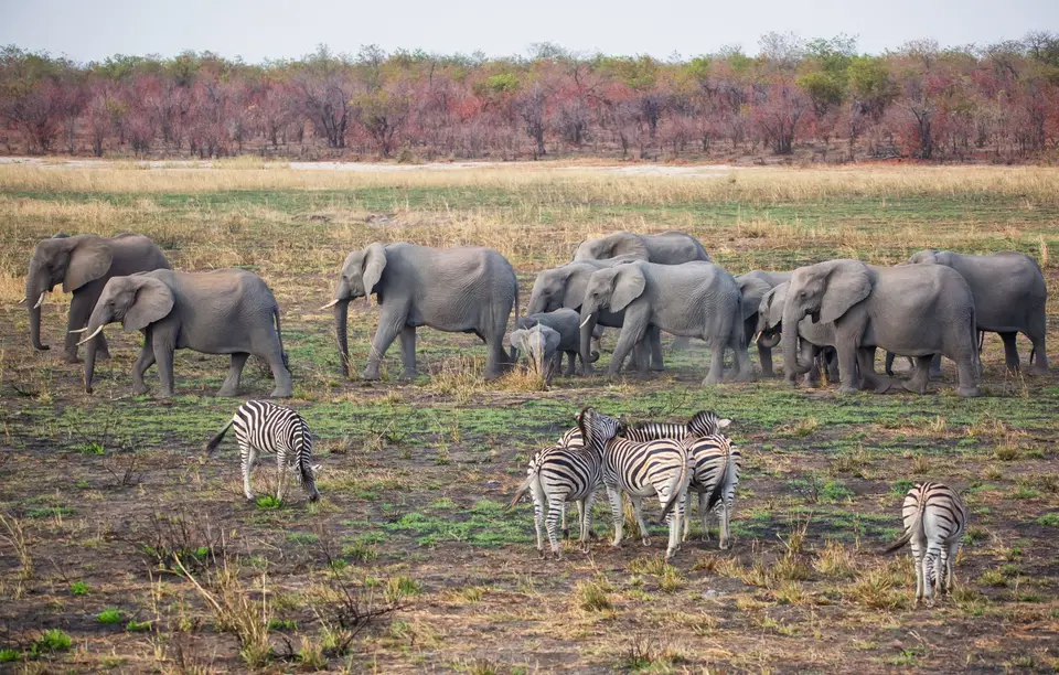 Südafrika_KrugerNP_1643.jpg