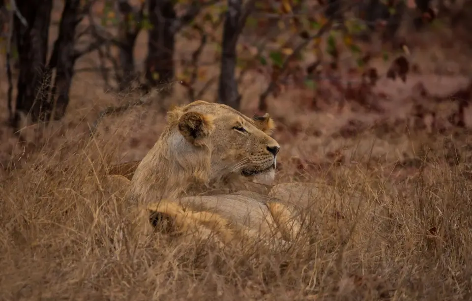 Südafrika_KrugerNP_1680.jpg
