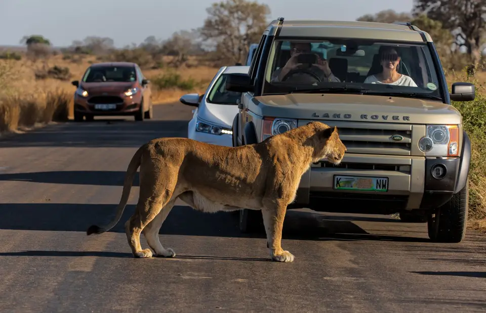 Südafrika_KrugerNP_1735.jpg