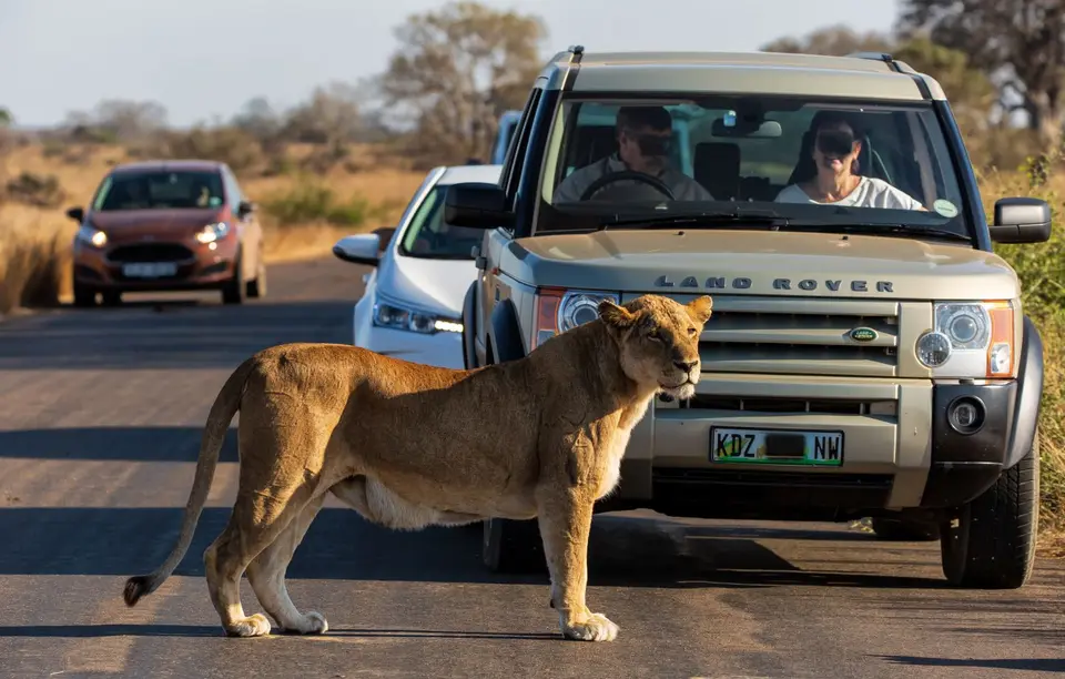 Südafrika_KrugerNP_1736.jpg