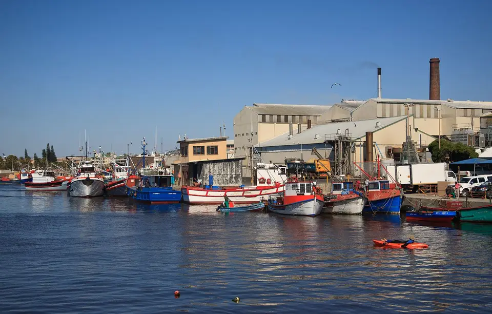 Südafrika_LambertsBay_017.jpg