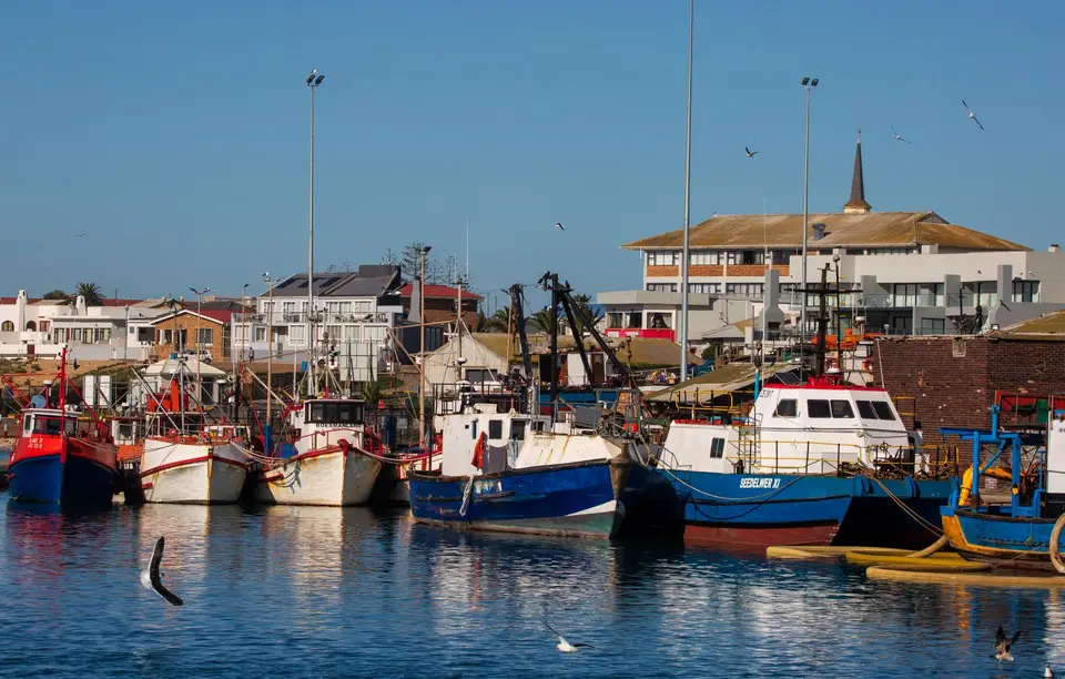 Südafrika_LambertsBay_199.jpg