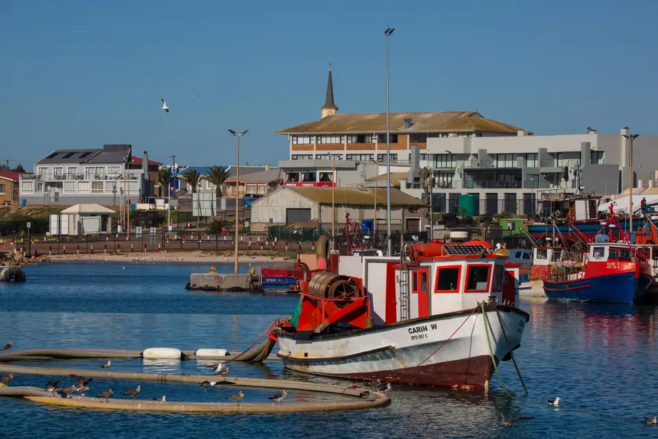 Südafrika_LambertsBay_202.jpg