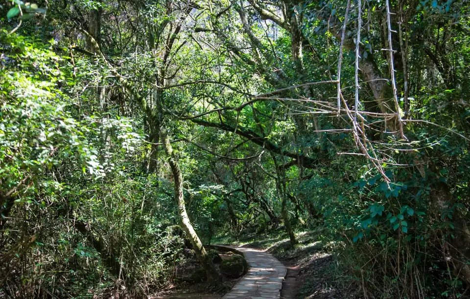 Südafrika_LoneCreekFalls_01.jpg