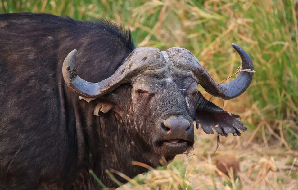 Südafrika_Mohlabetsi_22.jpg