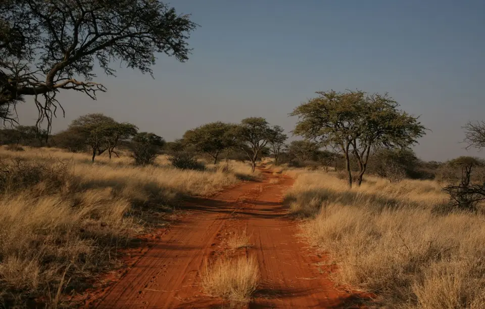 Südafrika_MokalaNP_002.jpg