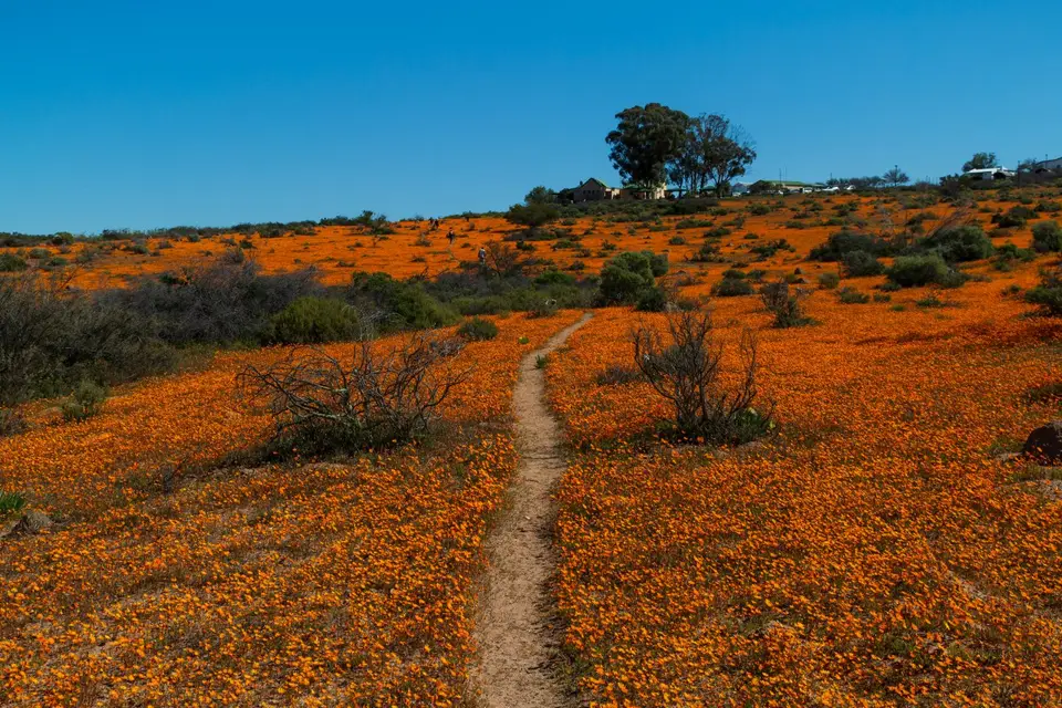 Südafrika_NamaqualandNP_71.jpg