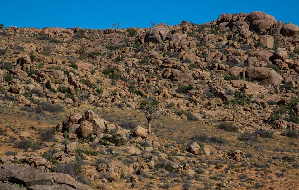 Südafrika_NamaqualandNP_76.jpg