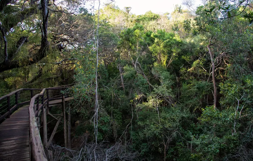 Südafrika_NibelaLakeLodge_21.jpg