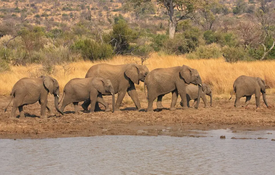 Südafrika_PilanesbergNP_033.jpg
