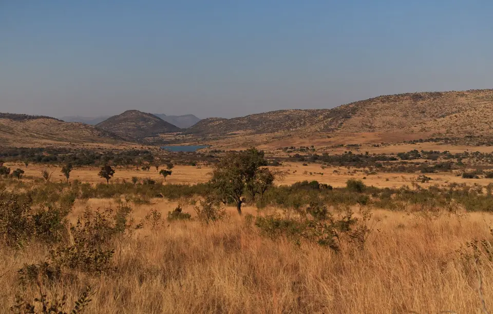 Südafrika_PilanesbergNP_050.jpg