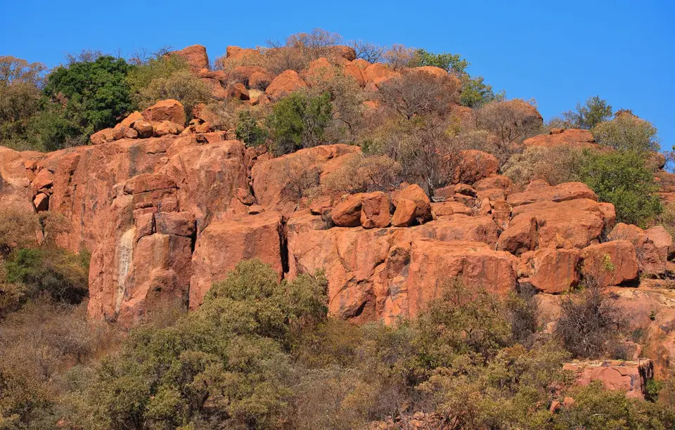 Südafrika_PilanesbergNP_092.jpg
