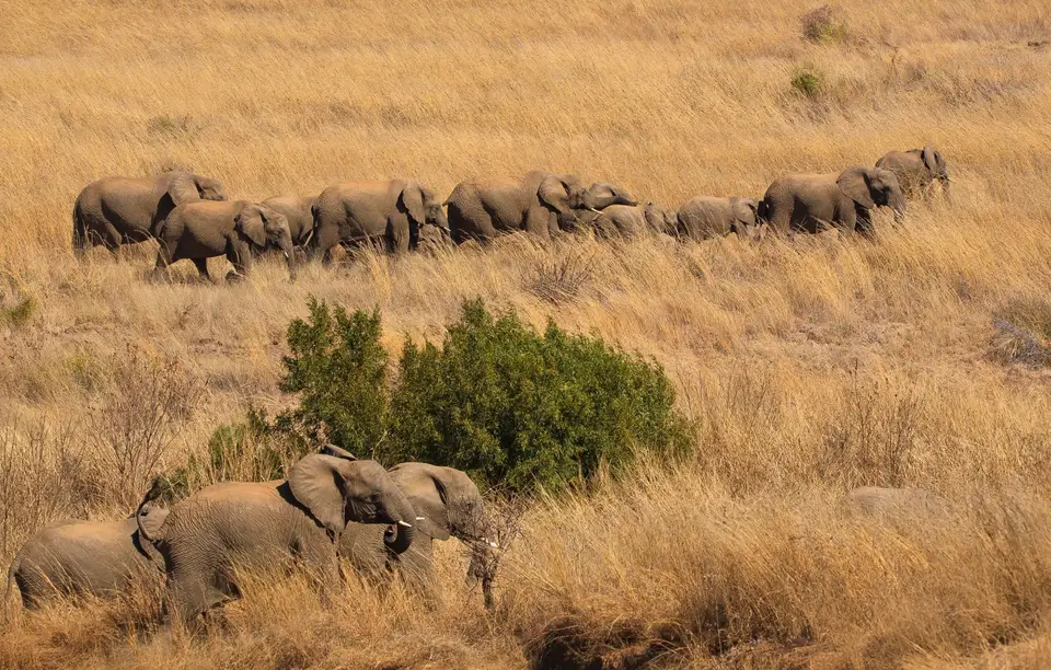 Südafrika_PilanesbergNP_101.jpg