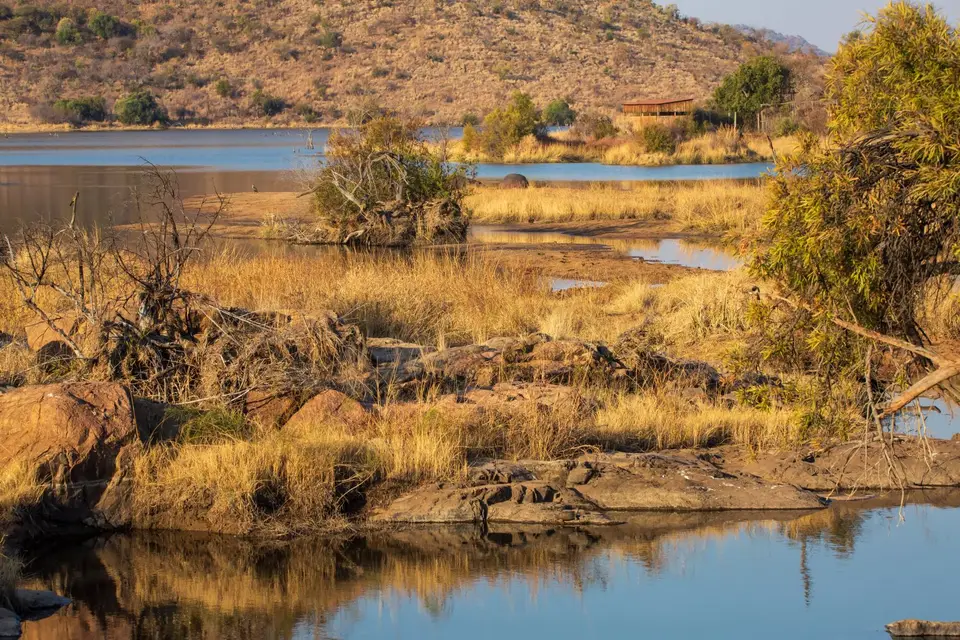 Südafrika_PilanesbergNP_129.jpg