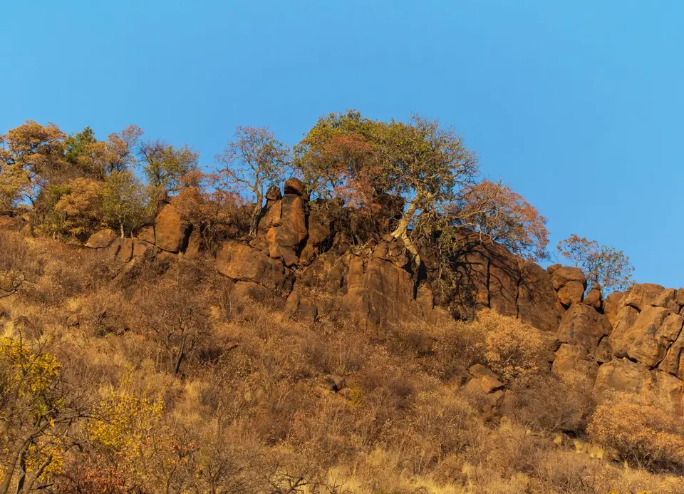 Südafrika_PilanesbergNP_144.jpg