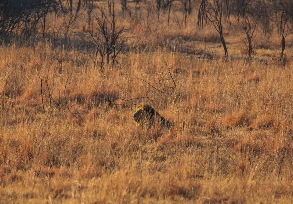 Südafrika_PilanesbergNP_151.jpg