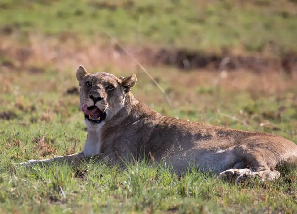 Südafrika_PilanesbergNP_203.jpg