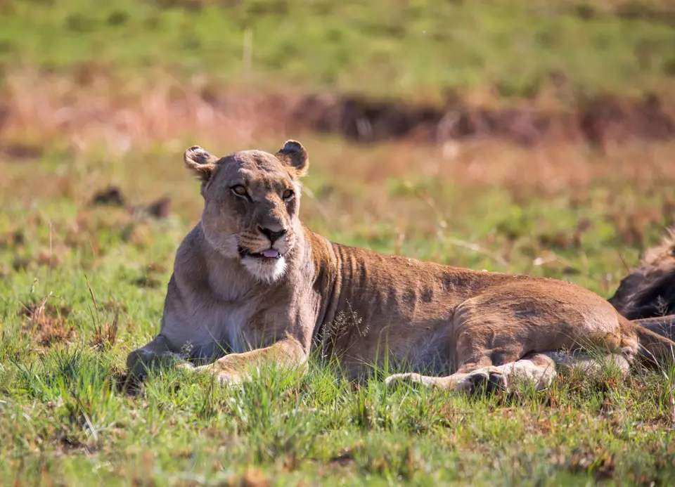 Südafrika_PilanesbergNP_204.jpg