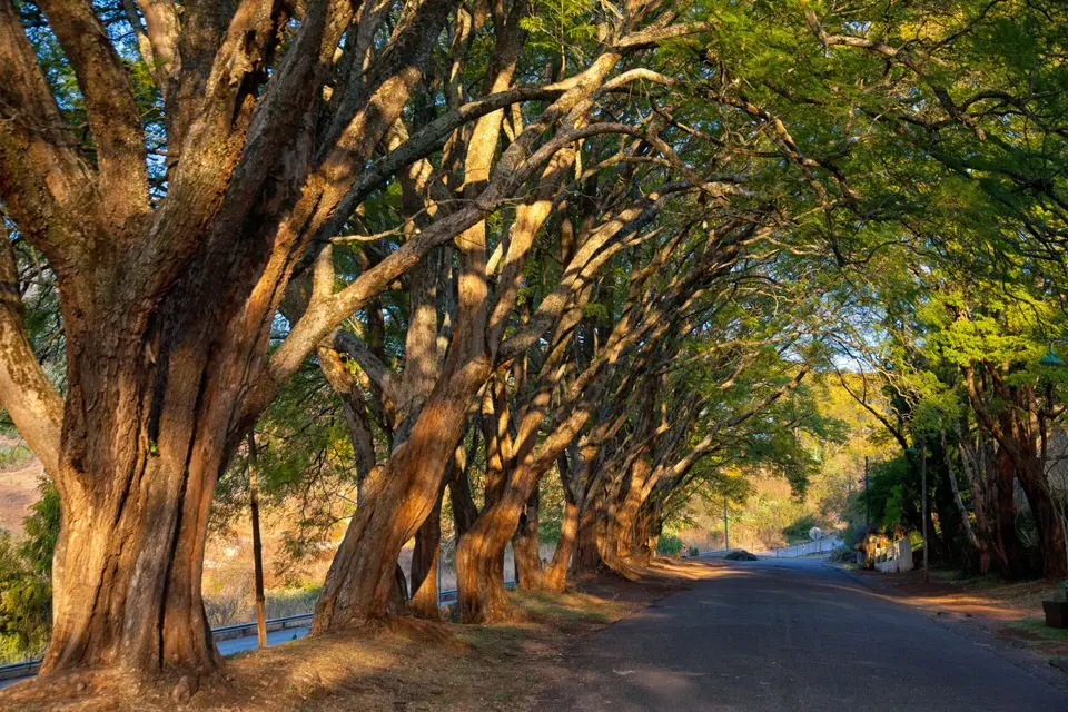 Südafrika_PilgrimsRest_001.jpg