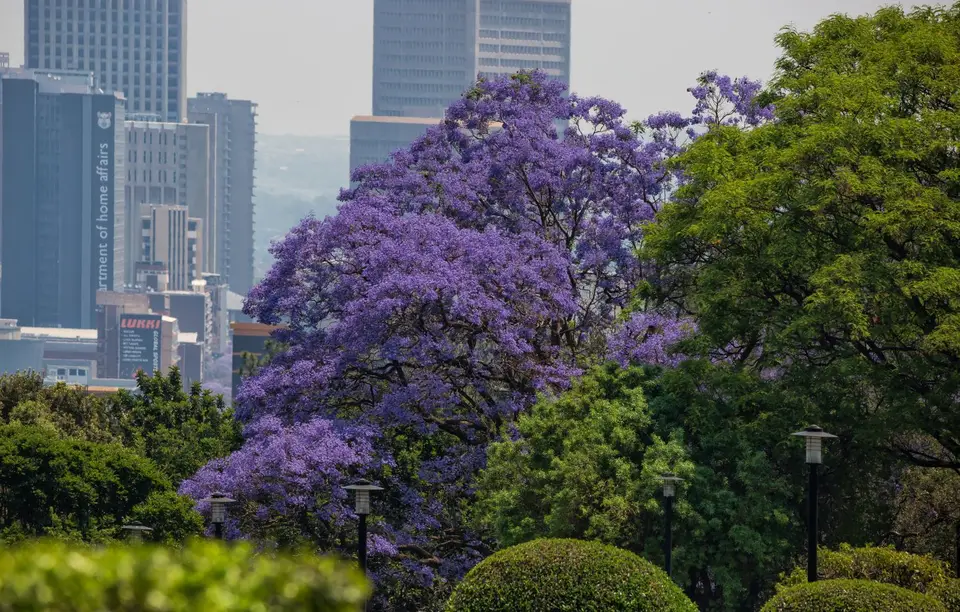 Südafrika_Pretoria_44.jpg