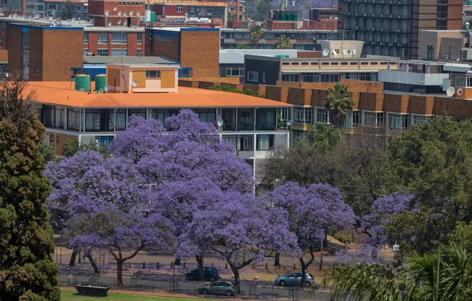 Südafrika_Pretoria_45.jpg