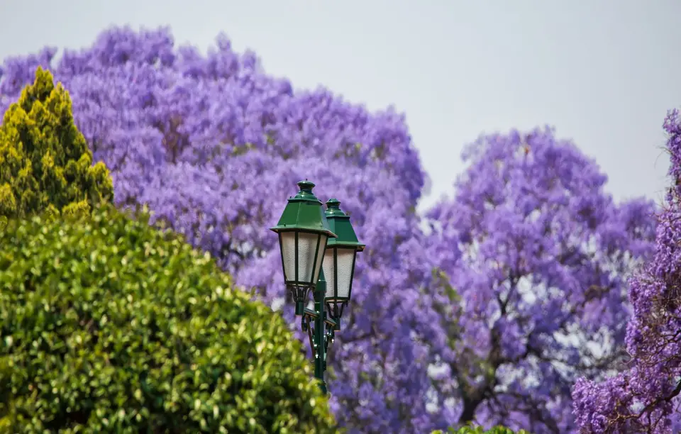 Südafrika_Pretoria_46.jpg