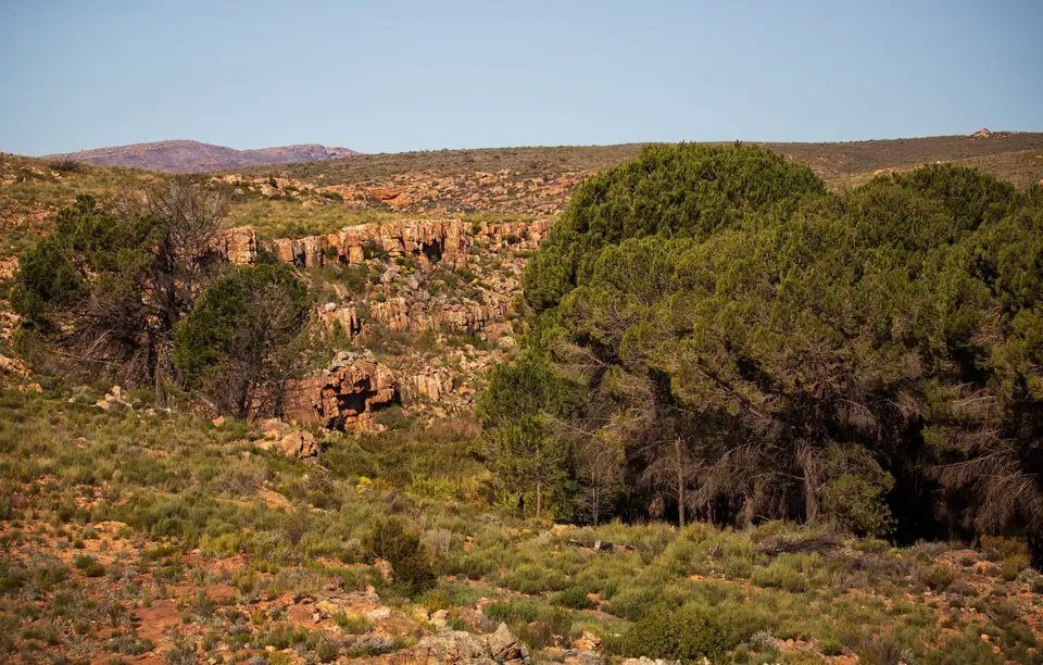 Südafrika_Sanddrif_034.jpg
