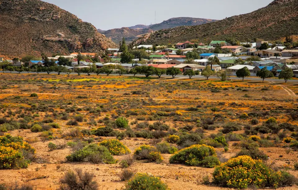 Südafrika_Springbok_01.jpg