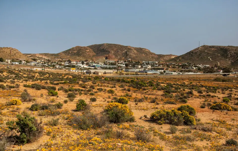 Südafrika_Springbok_02.jpg