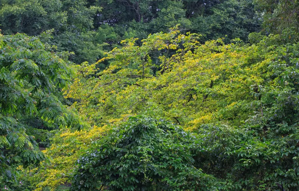 Südafrika_StLucia_003.jpg