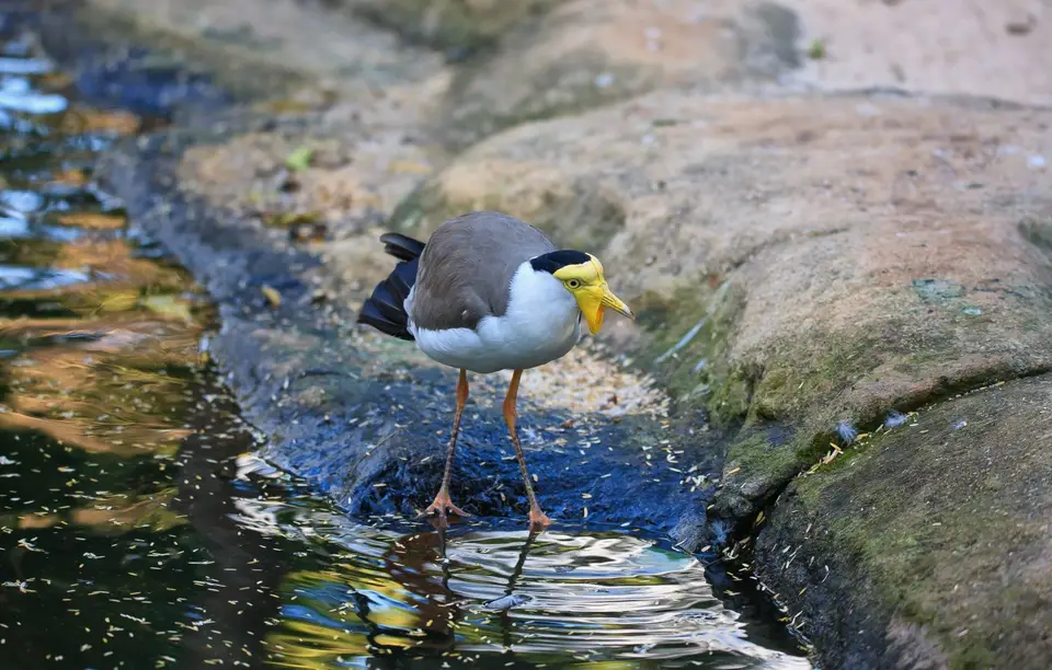 Südafrika_SunCity_041.jpg
