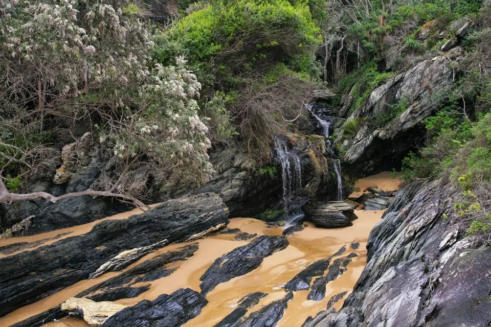 Südafrika_TsitsikamaNP_023.jpg