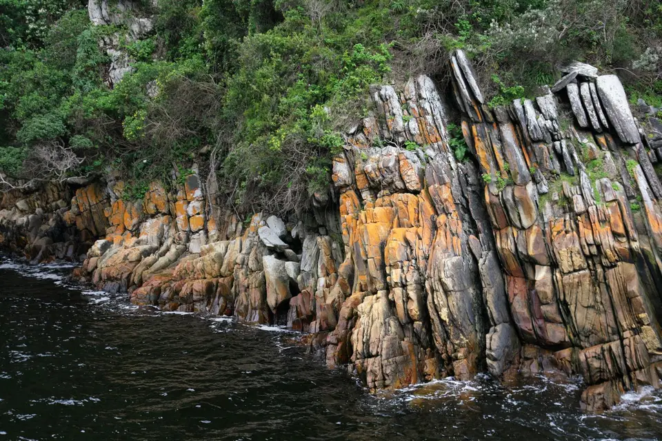 Südafrika_TsitsikamaNP_037.jpg